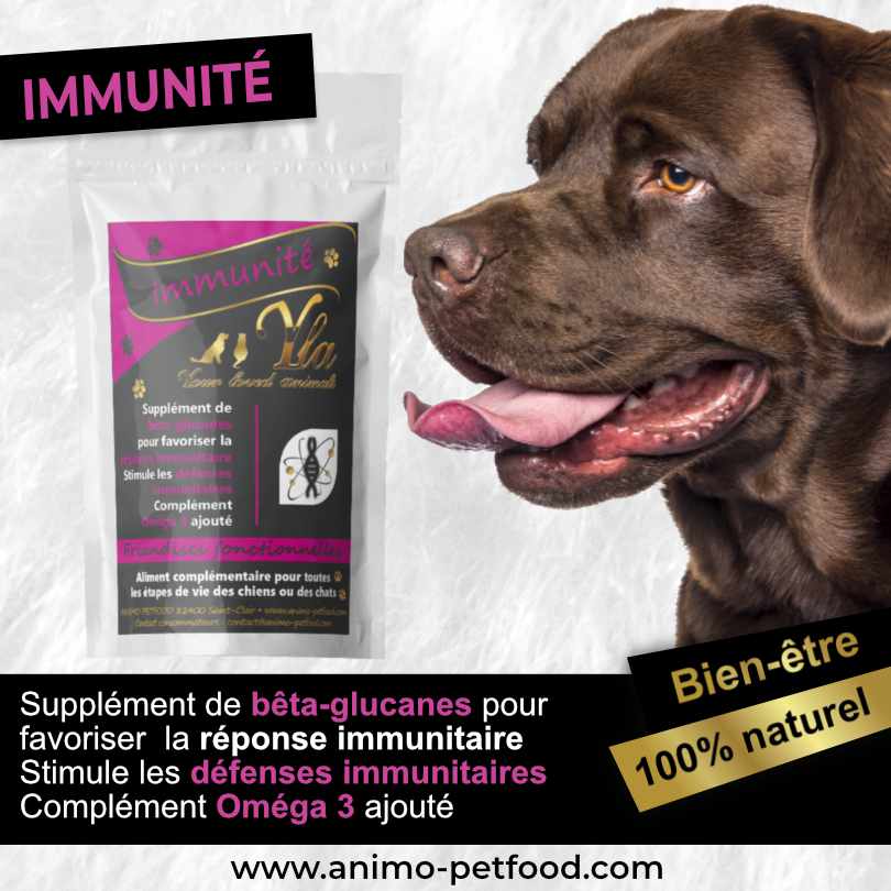 friandise-immunité-pour-chien-et-chiot